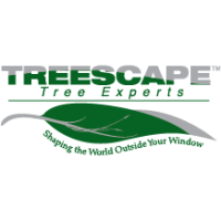 Treescape Tree Experts Logo