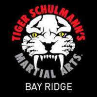 Tiger Schulmann's Martial Arts (Bay Ridge, NY) Logo