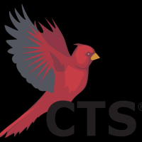 Cardinal Technology Solutions, Inc. Logo