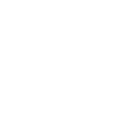 Flex Power Washing Logo