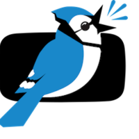 Jaybird Media LLC Logo