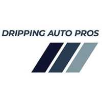 Dripping Auto Pros Logo