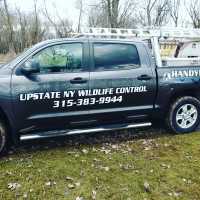Upstate NY Wildlife Control Logo