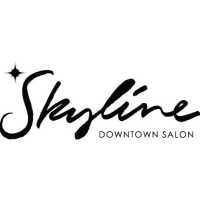 Skyline Downtown Salon Logo