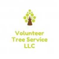 Volunteer Tree, LLC Logo