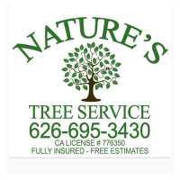 Nature's Tree Service Logo
