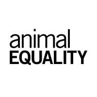 Animal Equality Logo