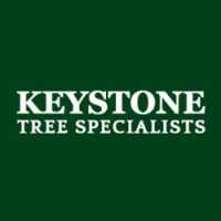 Keystone Tree Specialists Logo