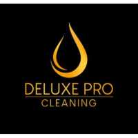 Deluxe Pro Cleaning Logo