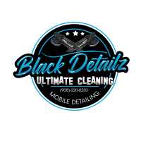 Black Diamond Detail Logo