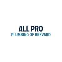 All Pro Plumbing of Brevard Logo