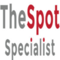 The Spot Specialist, LLC Logo