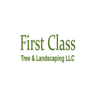 First Class Tree & Landscaping LLC Logo