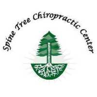 Spine Tree Chiropractic Logo