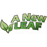 A New Leaf Tree Service Logo