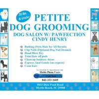 Petite Dog Grooming Logo