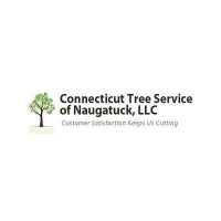 Connecticut Tree Service of Naugatuck LLC Logo