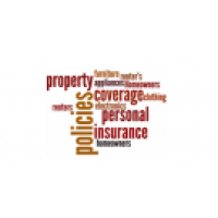 Chanler Agency Inc. Insurance Logo
