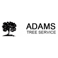 Adam's Trees Designs and Services Logo