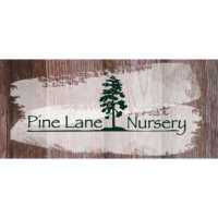 Pine Lane Nursery Logo