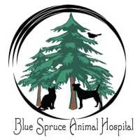 Blue Spruce Animal Hospital Logo