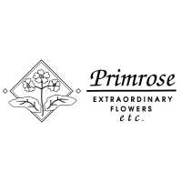 Primrose Extraordinary Flowers Logo