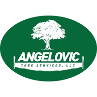 Angelovic Tree Services LLC Logo