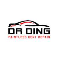 Dr Ding Logo