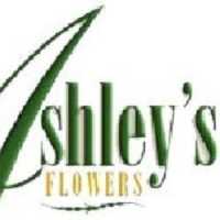 ðŸ’Ashley's Flowers - Detroit, MI Florist Logo