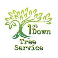 1st Down Tree Service Logo