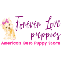 Forever Love Puppies - MOVED TO 12767 Kendall Drive, Miami Logo