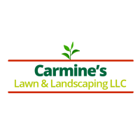 Carmine's Lawn & Landscaping LLC Logo