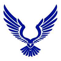 Blue Eagle General Contractors Logo