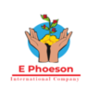 E Phoeson International Company Logo
