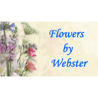 Flowers by Webster Logo