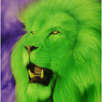 Green Lion H & S Cleaning Logo