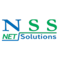 Net Solutions and Security LLC Logo