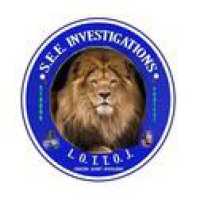 SEE Investigations & Consulting Logo