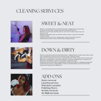 Sweet and Discreet Cleaning Service Logo