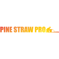 Mow & Blow Logo