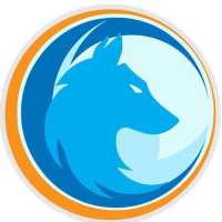 Water Wolf Power Washing Logo