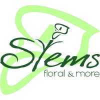 Stems Floral & More, Inc. Logo