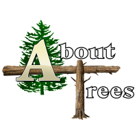 About Trees Logo