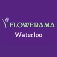 Flowerama Waterloo Logo