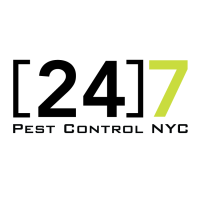 24 Hour Pest Control NYC Logo