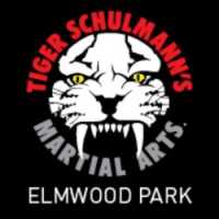 Tiger Schulmann's Martial Arts (Elmwood Park, NJ) Logo