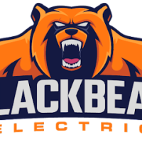 Black Bear Electric Inc. Logo