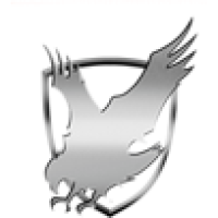 Silver Eagle Group Logo