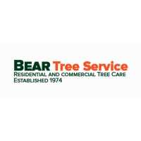Bear Tree Service Logo