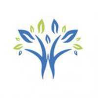 The Center for Allergy & Immunology: Travis Sifers, MD Logo